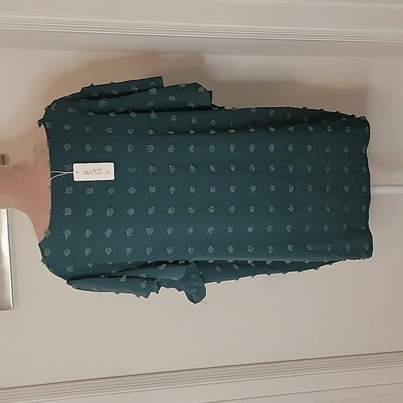 IN'VOLAND,  Size 22W V Neck Short Sleeve Flowy Tunic with Swiss Dots, NEW - Picture 4 of 14